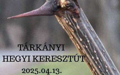 Tárkányi Hegyi Keresztút – 2025